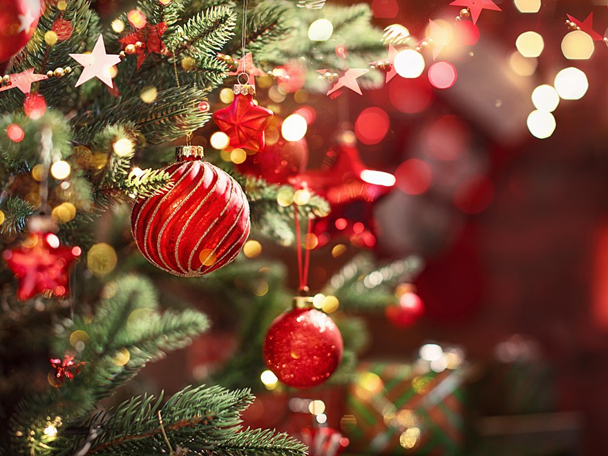 ■ザ クラブ会員様限定■【クリスマス★2025】全室26階以上の高層階★クリスマスディナーコース&乾杯のグラススパークリング付 (夕朝食付)