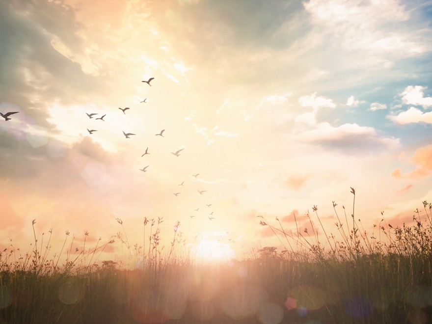 ＊THE Club会員専用プラン＊【年末年始】お正月を感じる朝食ブッフェ付き　17：00 in ショートステイ